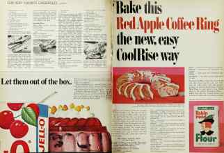 Better Homes & Gardens February 1967 Magazine Article: Page 100