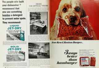 Better Homes & Gardens February 1967 Magazine Article: Page 118