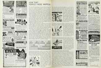 Better Homes & Gardens February 1967 Magazine Article: Page 142