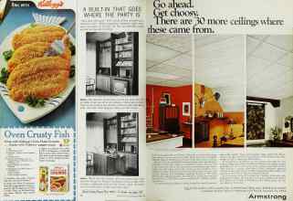 Better Homes & Gardens March 1967 Magazine Article: Page 26