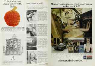 Better Homes & Gardens March 1967 Magazine Article: Page 38