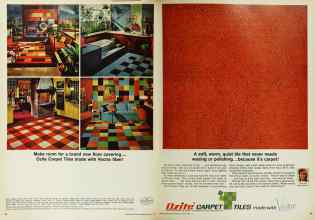 Better Homes & Gardens March 1967 Magazine Article: Page 48