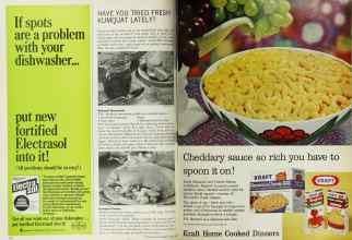 Better Homes & Gardens March 1967 Magazine Article: Page 114