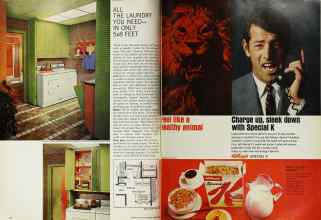 Better Homes & Gardens March 1967 Magazine Article: Page 116