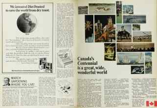 Better Homes & Gardens March 1967 Magazine Article: Page 136