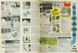 Better Homes & Gardens March 1967 Magazine Article: Page 148