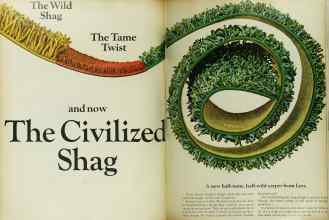 Better Homes & Gardens April 1967 Magazine Article: Page 44