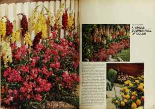 Better Homes & Gardens April 1967 Magazine Article: Page 62