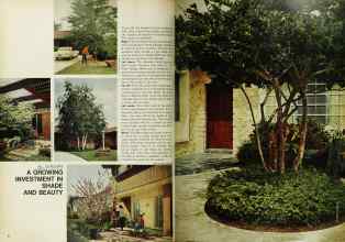 Better Homes & Gardens April 1967 Magazine Article: Page 66