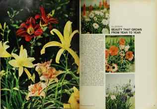 Better Homes & Gardens April 1967 Magazine Article: Page 72