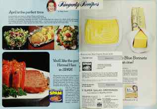 Better Homes & Gardens April 1967 Magazine Article: Page 102