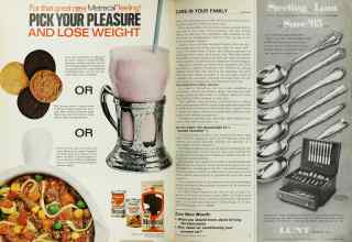 Better Homes & Gardens May 1967 Magazine Article: Page 16