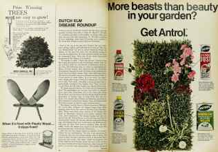 Better Homes & Gardens May 1967 Magazine Article: Page 38