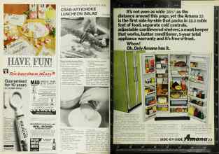 Better Homes & Gardens May 1967 Magazine Article: Page 106