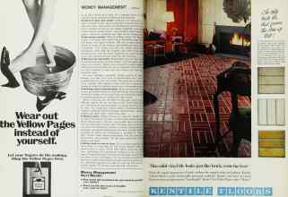 Better Homes & Gardens June 1967 Magazine Article: Page 14