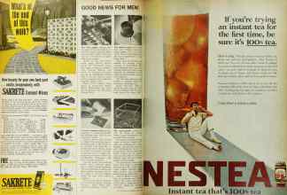 Better Homes & Gardens June 1967 Magazine Article: Page 22