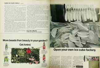 Better Homes & Gardens June 1967 Magazine Article: Page 34