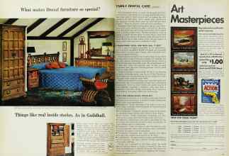Better Homes & Gardens June 1967 Magazine Article: Page 42