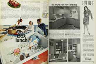 Better Homes & Gardens June 1967 Magazine Article: Page 44
