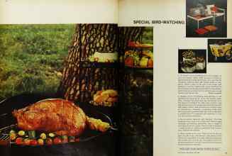 Better Homes & Gardens June 1967 Magazine Article: Page 64