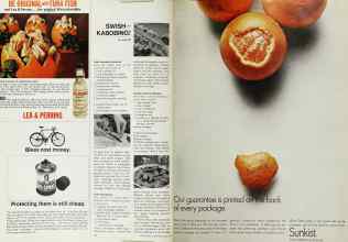 Better Homes & Gardens June 1967 Magazine Article: Page 92