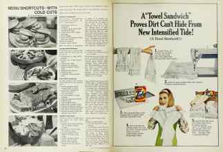 Better Homes & Gardens June 1967 Magazine Article: Page 100