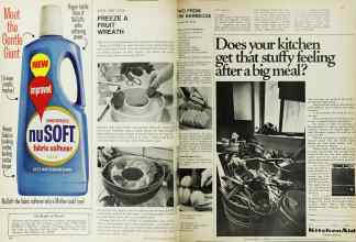 Better Homes & Gardens June 1967 Magazine Article: Page 106