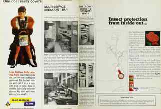 Better Homes & Gardens June 1967 Magazine Article: Page 116