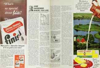 Better Homes & Gardens June 1967 Magazine Article: JUNE GARDENING WHERE YOU LIVE!