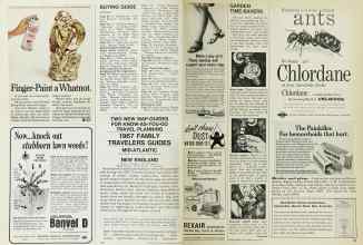 Better Homes & Gardens June 1967 Magazine Article: Page 134