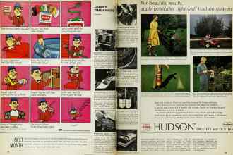 Better Homes & Gardens June 1967 Magazine Article: Page 138