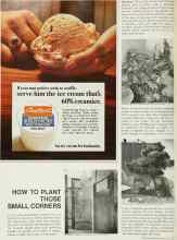 Better Homes & Gardens July 1967 Magazine Article: HOW TO PLANT THOSE SMALL CORNERS