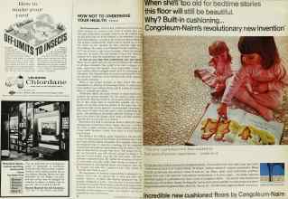 Better Homes & Gardens July 1967 Magazine Article: Page 20