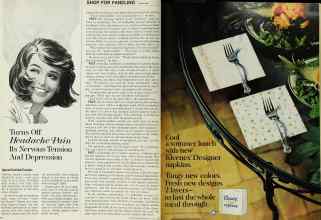 Better Homes & Gardens July 1967 Magazine Article: Page 26