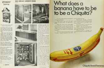 Better Homes & Gardens July 1967 Magazine Article: Page 42