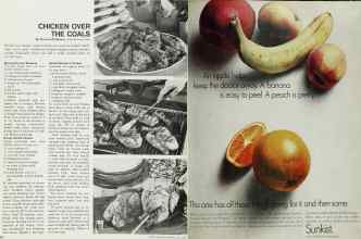 Better Homes & Gardens July 1967 Magazine Article: Page 86