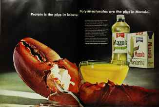 Better Homes & Gardens July 1967 Magazine Article: Page 92