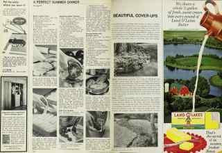 Better Homes & Gardens July 1967 Magazine Article: Page 114