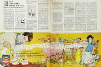 Better Homes & Gardens July 1967 Magazine Article: JULY GARDENING WHERE YOU LIVE!