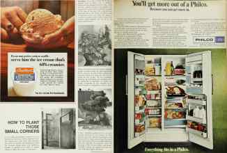 Better Homes & Gardens July 1967 Magazine Article: Page 118