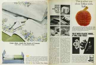 Better Homes & Gardens August 1967 Magazine Article: Page 44