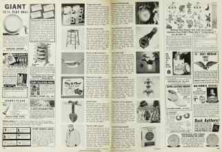 Better Homes & Gardens August 1967 Magazine Article: Page 106