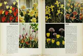 Better Homes & Gardens September 1967 Magazine Article: Page 66