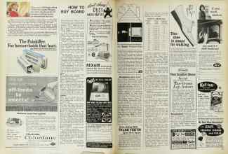 Better Homes & Gardens September 1967 Magazine Article: HOW TO BUY BOARD
