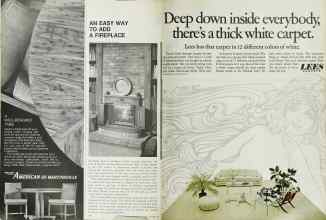 Better Homes & Gardens October 1967 Magazine Article: Page 38