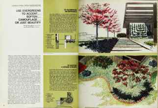 Better Homes & Gardens October 1967 Magazine Article: USE EVERGREENS TO ACCENT... SOFTEN... CAMOUFLAGE... OR JUST BEAUTIFY