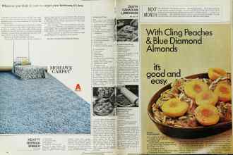 Better Homes & Gardens October 1967 Magazine Article: Page 96