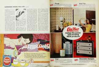 Better Homes & Gardens October 1967 Magazine Article: Page 134