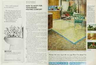 Better Homes & Gardens November 1967 Magazine Article: Page 12