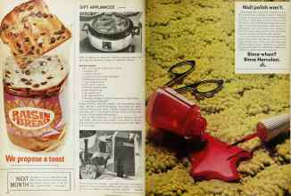 Better Homes & Gardens November 1967 Magazine Article: Page 140
